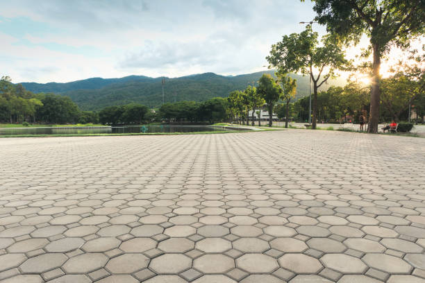 Best Driveway Paver Repair  in Talpa, NM