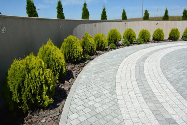 Professional Driveway Pavers in Talpa, NM